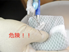 カセットに入れているので安全